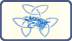 click here for more information - Obbe fishings web site